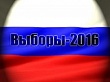 Предварительное голосование: отбор достойных кандидатов